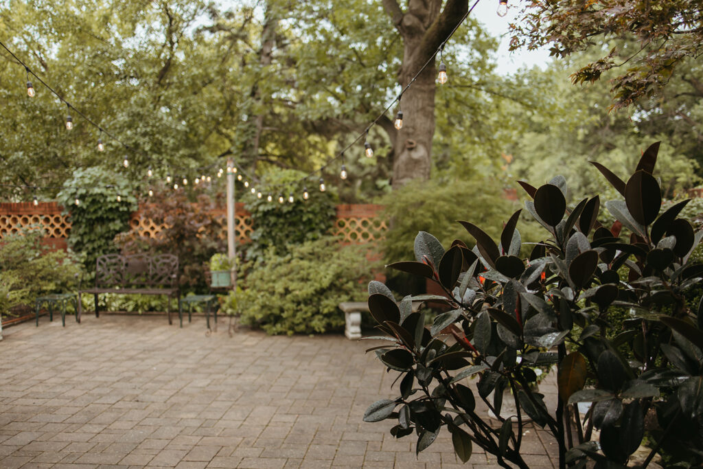 A stunning backyard garden before a surprise proposal