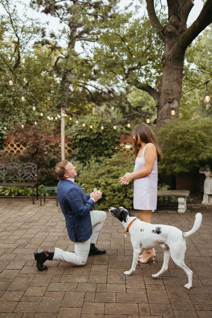 An emotional surprise proposal in a stunning backyard garden