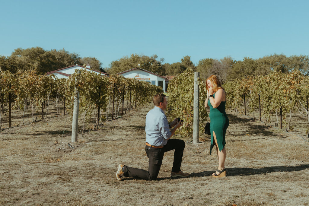 A surprise proposal at a vineyard in Wichita